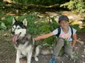 Un garçon et son husky profitent d'une aventure en pleine nature, un souvenir de leur colonie de vacances à l'étranger.