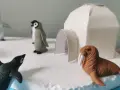 Maquette d'igloo blanc scintillant avec des figurines de phoques et de morses sur un décor de glace.
