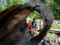 Trois enfants profitent d'une pause en forêt, rappelant l'importance du respect des locaux et de la nature.