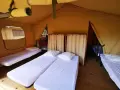 Intérieur d'une chambre de colonie de vacances avec plusieurs lits simples, draps blancs et oreillers. Des rideaux séparent les espaces.