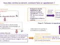 Ce schéma explique comment faire un signalement : étapes, contact, traitement.