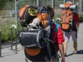 Deux jeunes partent en camp de scout, chargés de leurs sacs à dos. Un doudou mouton est accroché au sac de devant.