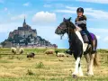 Une jeune fille rit à cheval devant le Mont-Saint-Michel, avec des moutons dans un pré.