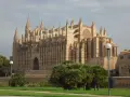 La cathédrale de Palma, majestueuse, se dresse sous un ciel d'hiver. Des palmiers verdoyants bordent le chemin, offrant un contraste saisissant avec la pierre dorée du monument.