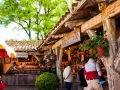 Marché artisanal au Bois-Plage-en-Ré : découvrez les activités et produits locaux sous les arbres.