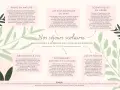 Illustration de séjours scolaires en Ardèche : Radio nature, Explorateurs du vert, Scientifiques en herbe, Ciel, Patrimoines, Art et nature.