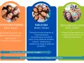 Trois blocs colorés décrivant les étapes du BAFA avec des photos de jeunes souriants.
