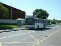 Un bus scolaire s'arrête à un arrêt de bus, respectant le code de la route. Le soleil brille sur la route.