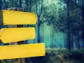Panneau de signalisation jaune vide dans une forêt sombre.