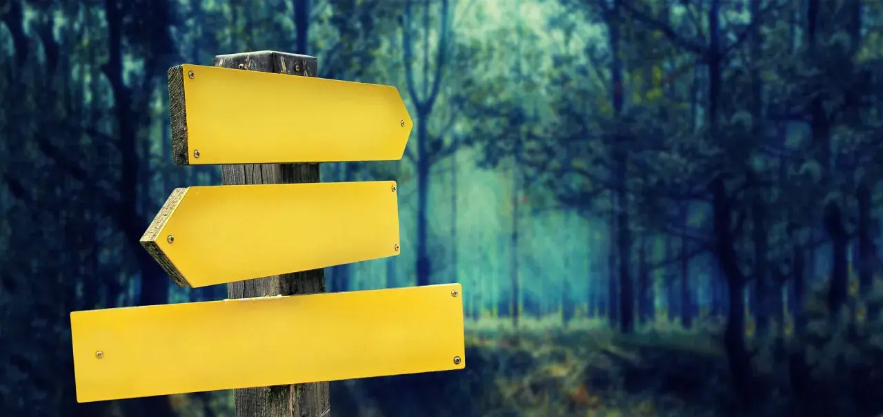 Panneau de signalisation jaune vide dans une forêt sombre.