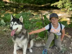 Un garçon et son husky profitent d'une aventure en pleine nature, un souvenir de leur colonie de vacances à l'étranger.