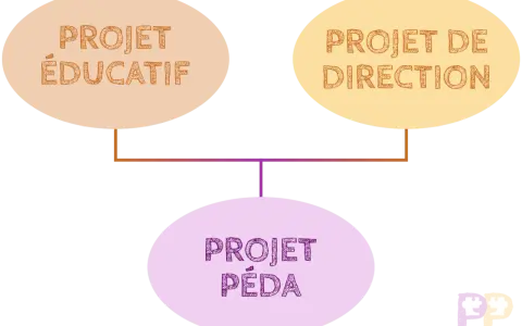 Schéma illustrant les projets éducatif, de direction et pédagogique, essentiels pour le BPJEPS direction ACM.