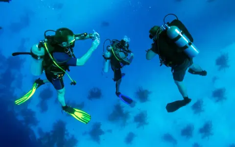 Trois plongeurs explorent les fonds marins, une scène typique d'une colonie de vacances plongée. L'un d'eux semble prendre une photo.