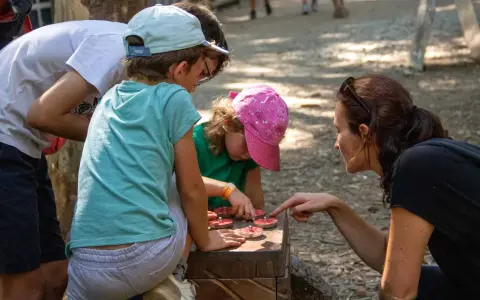 Une famille résout une énigme pour course d'orientation, manipulant des jetons sur un jeu en bois.