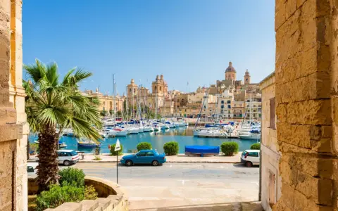 Vue d'un port de plaisance animé à La Valette, Malte, avec des voiliers, des bâtiments historiques et une palme. Parfait pour un séjour à Malte La Valette.