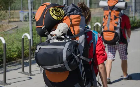 Deux jeunes partent en camp de scout, chargés de leurs sacs à dos. Un doudou mouton est accroché au sac de devant.