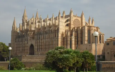 La cathédrale de Palma, majestueuse, se dresse sous un ciel d'hiver. Des palmiers verdoyants bordent le chemin, offrant un contraste saisissant avec la pierre dorée du monument.