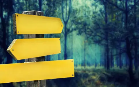Panneau de signalisation jaune vide dans une forêt sombre.