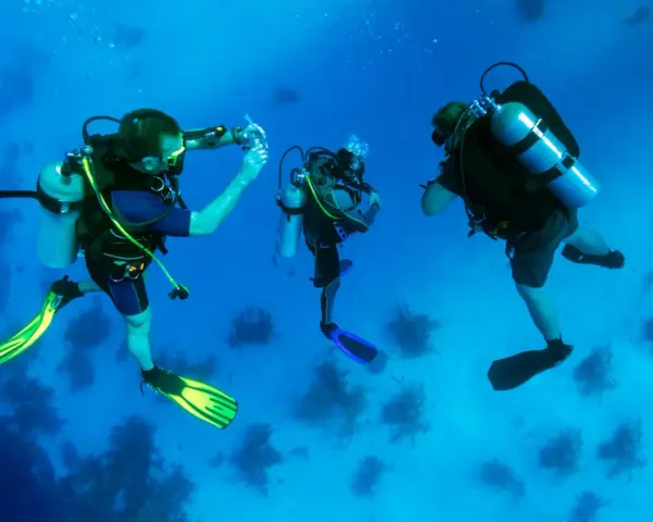 Trois plongeurs explorent les fonds marins, une scène typique d'une colonie de vacances plongée. L'un d'eux semble prendre une photo.