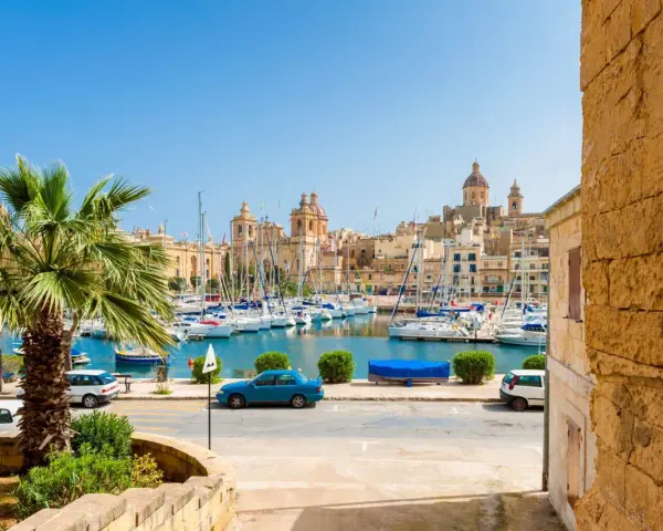 Vue d'un port de plaisance animé à La Valette, Malte, avec des voiliers, des bâtiments historiques et une palme. Parfait pour un séjour à Malte La Valette.