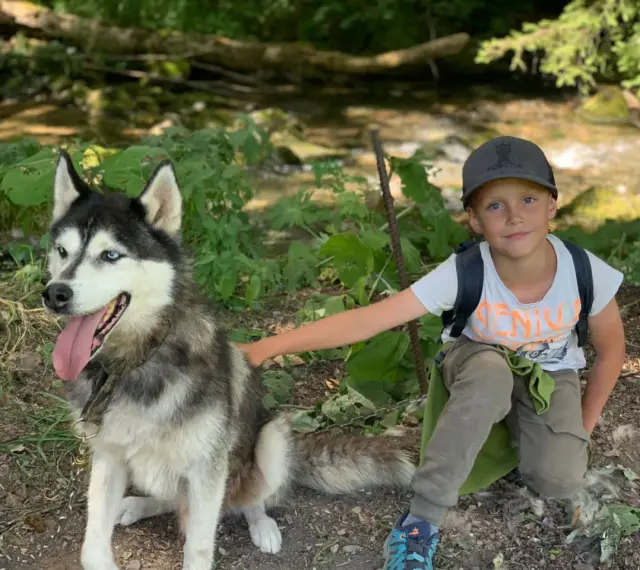 Un garçon et son husky profitent d'une aventure en pleine nature, un souvenir de leur colonie de vacances à l'étranger.