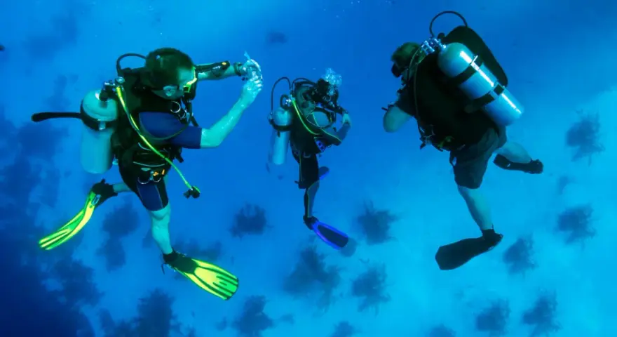 Trois plongeurs explorent les fonds marins, une scène typique d'une colonie de vacances plongée. L'un d'eux semble prendre une photo.