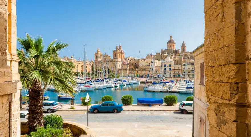 Vue d'un port de plaisance animé à La Valette, Malte, avec des voiliers, des bâtiments historiques et une palme. Parfait pour un séjour à Malte La Valette.