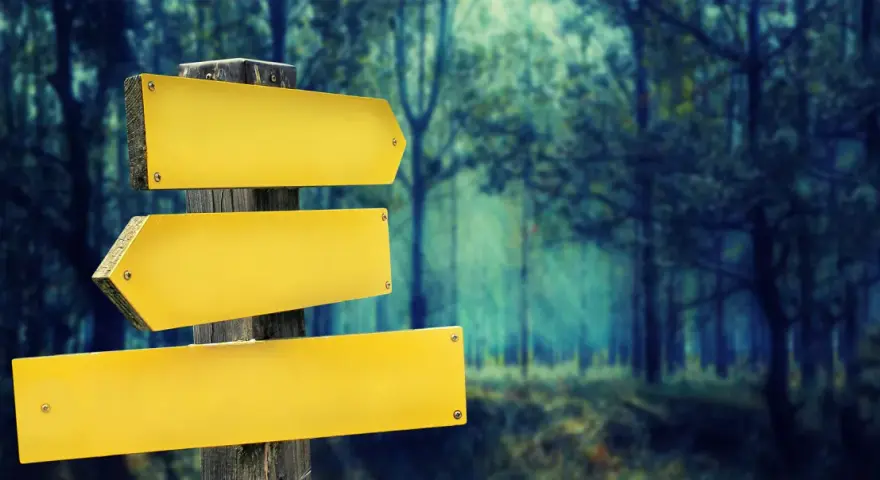 Panneau de signalisation jaune vide dans une forêt sombre.